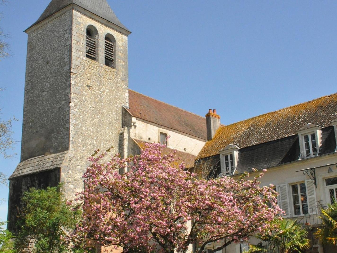 Отель Le Prieure Saint Agnan Cosne-Cours-Sur-Loire Экстерьер фото